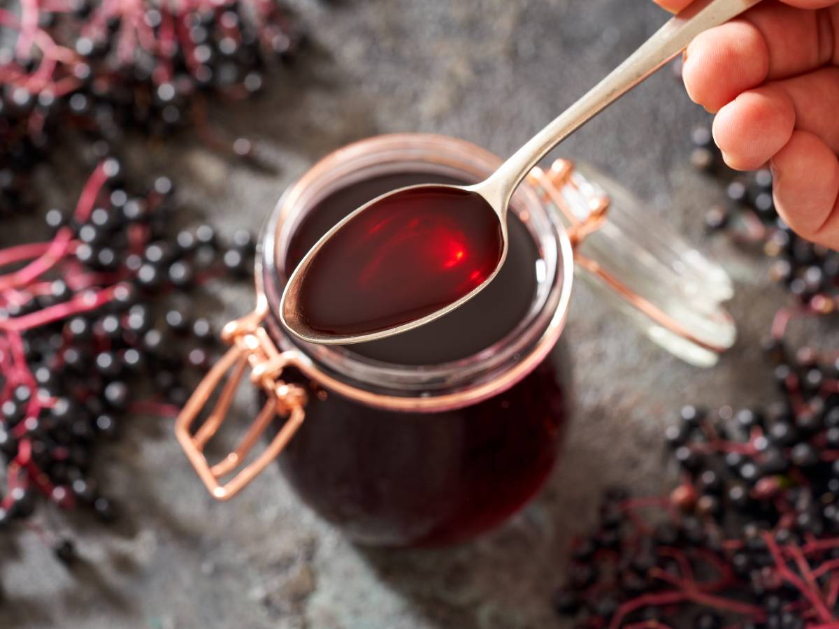 Herbata z czarnego bzu. Odkryj Twoje domowe źródło zdrowia w naparze z czarnego bzu 1 Herbata z czarnego bzu. Obrazek w artykule Herbata z czarnego bzu. Odkryj Twoje domowe źródło zdrowia w naparze z czarnego bzu