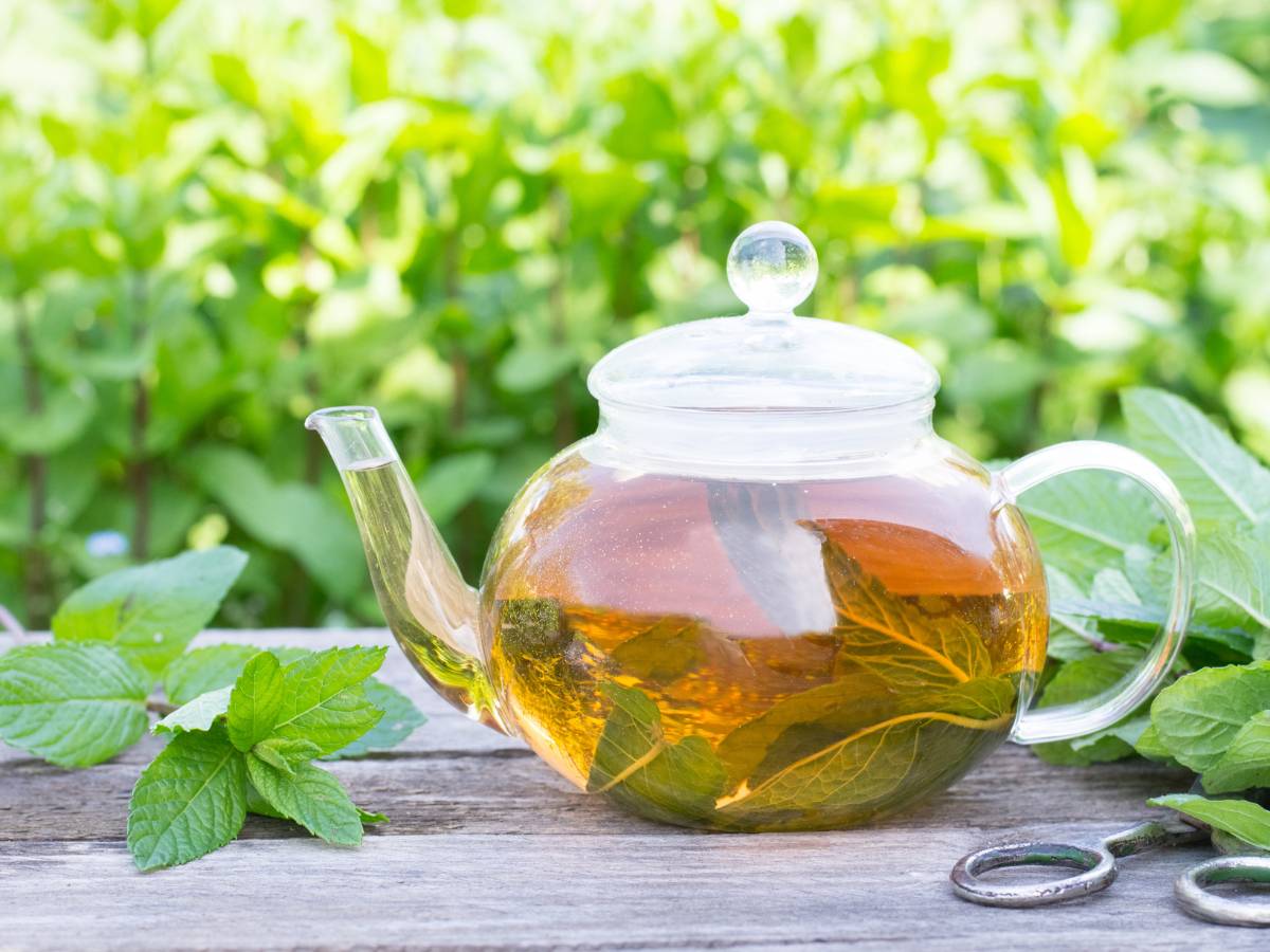 Poznaj powody, dlaczego warto pić herbatę miętową